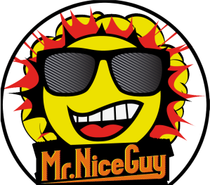 Mr. Nice Guy Sliders and Fries